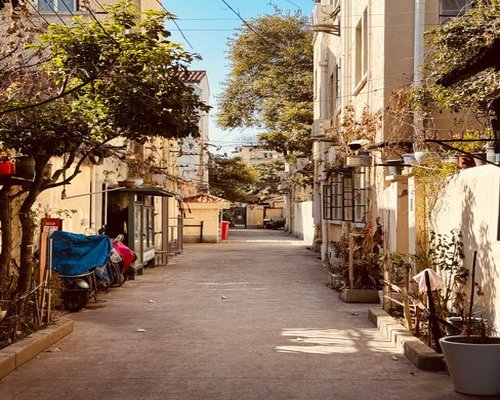 calm neighbourhood walk